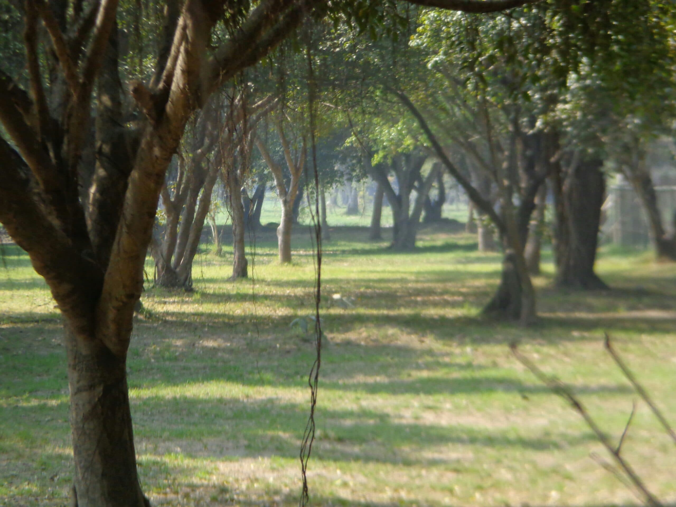 Gorakhpur to Shravasti Tour Package – 1 Night 2 Days photo 1