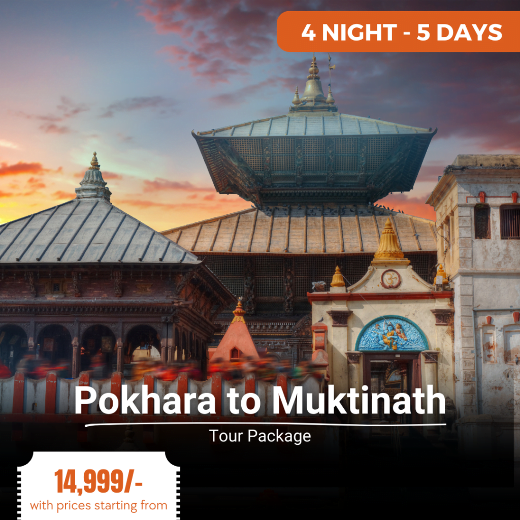 pokhara to muktinath tour package